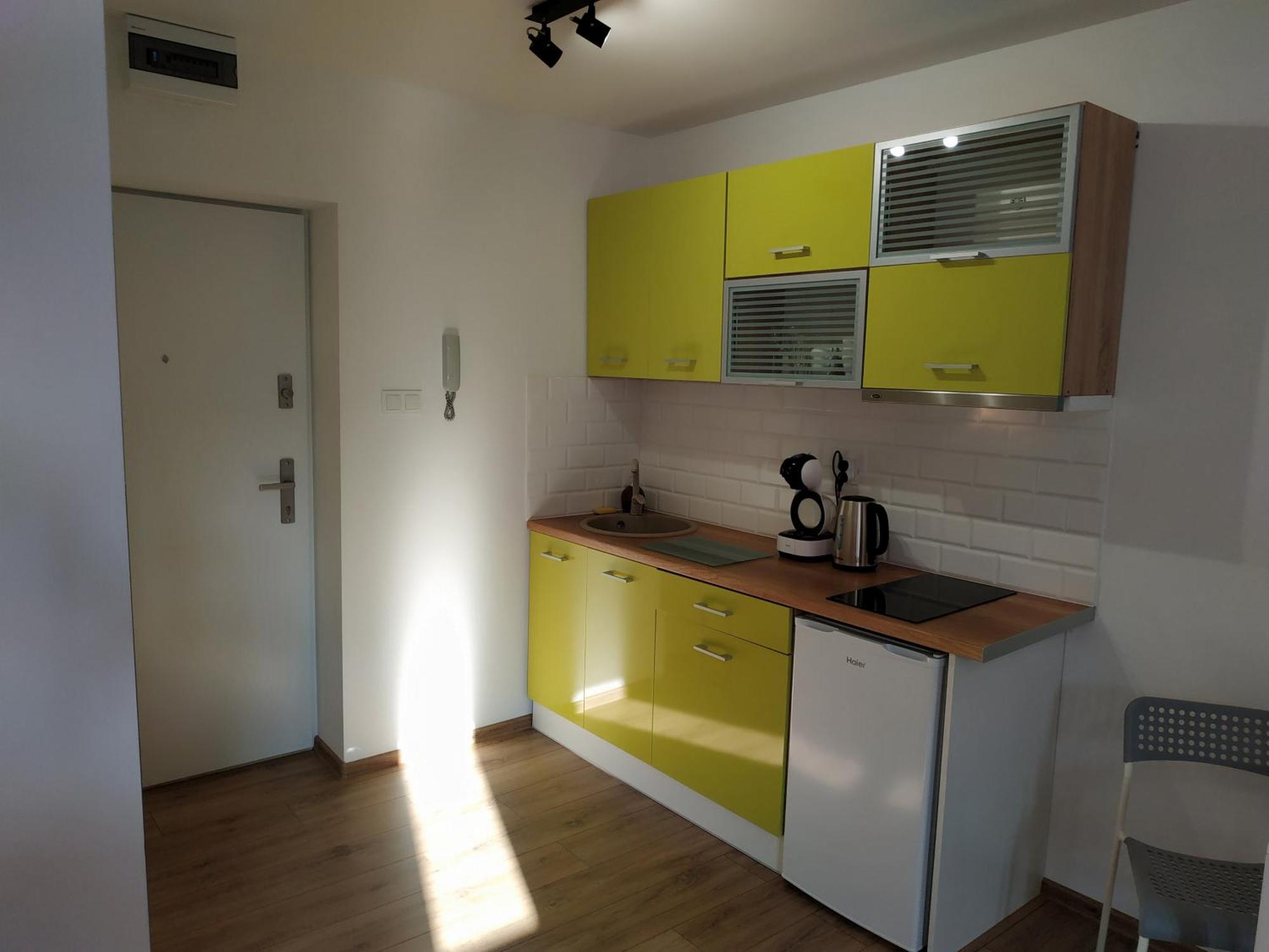 Theapartments Radwanska 우치 객실 사진